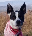 Stephanie & Grace Shea