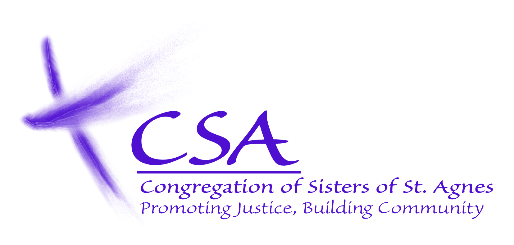 Congregation of Sisters of Saint Agnes