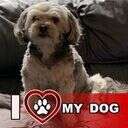 Traci Gornati Cooper