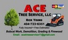 Ace Tree Service