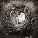 Jennie H.