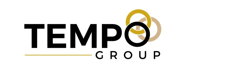 TEMPO GROUP LLC