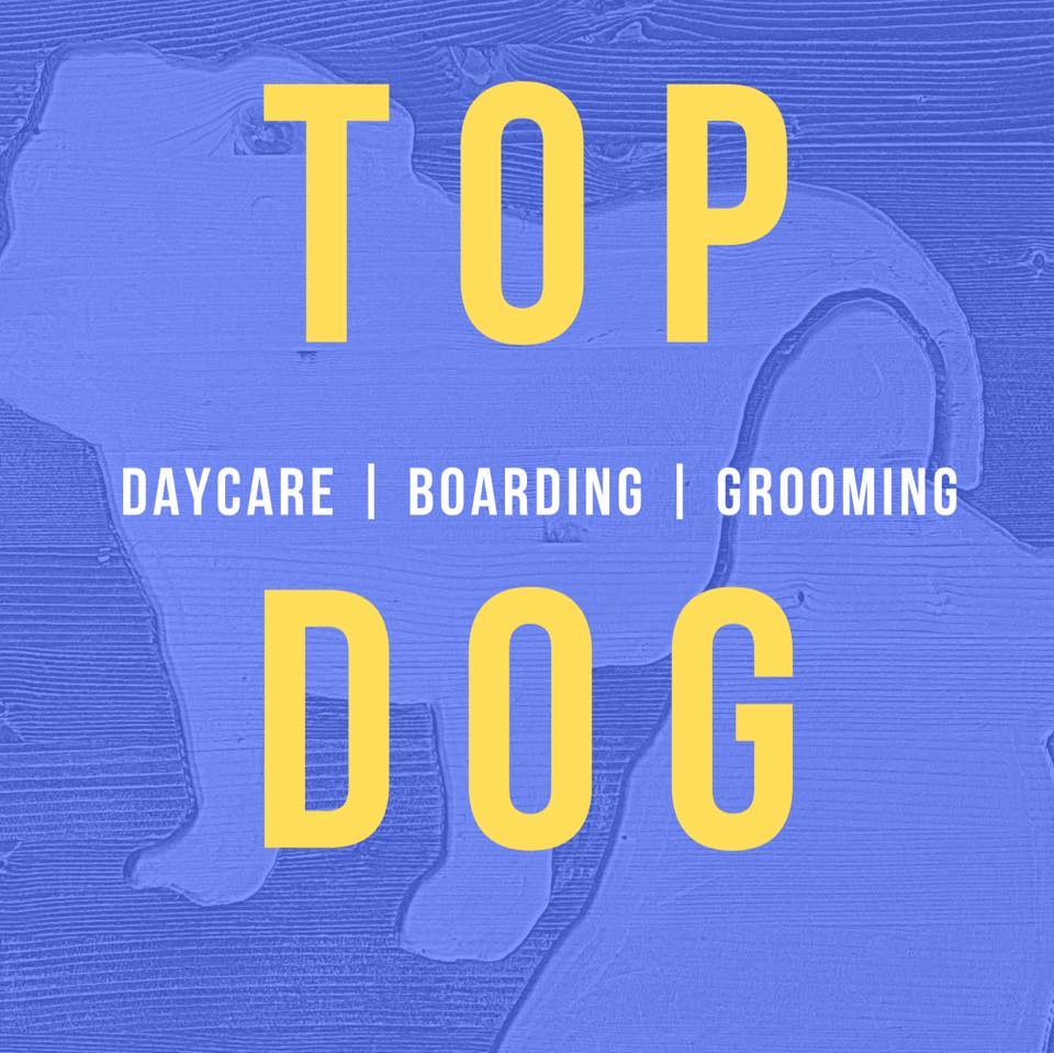 Top dog