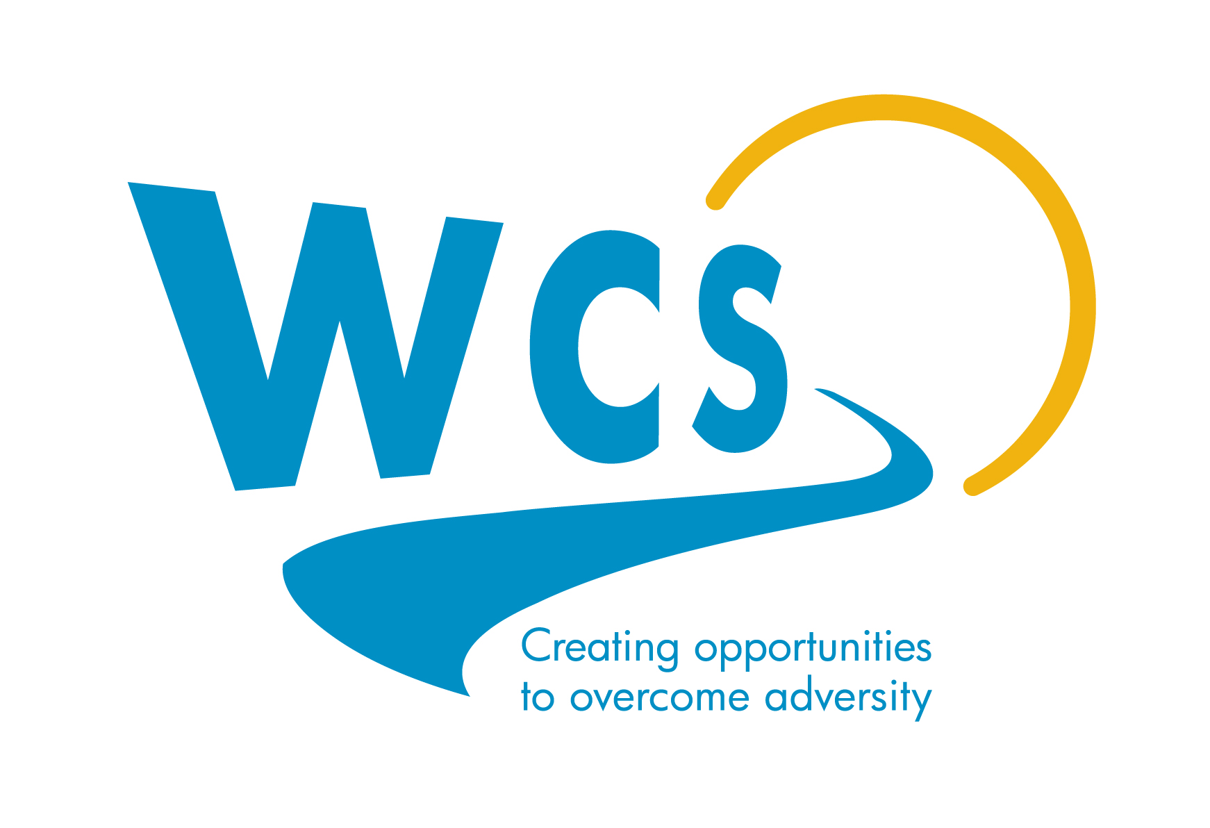Wisconsin Community Services Inc