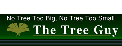 The Tree Guy Tree Service