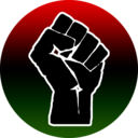 Northeastern Black Student Association