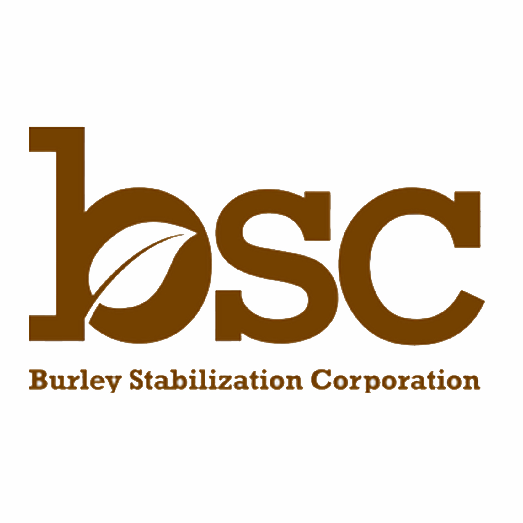 Burley Stabilization Corporation