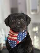 Ingrid Martinez-Rodriguez