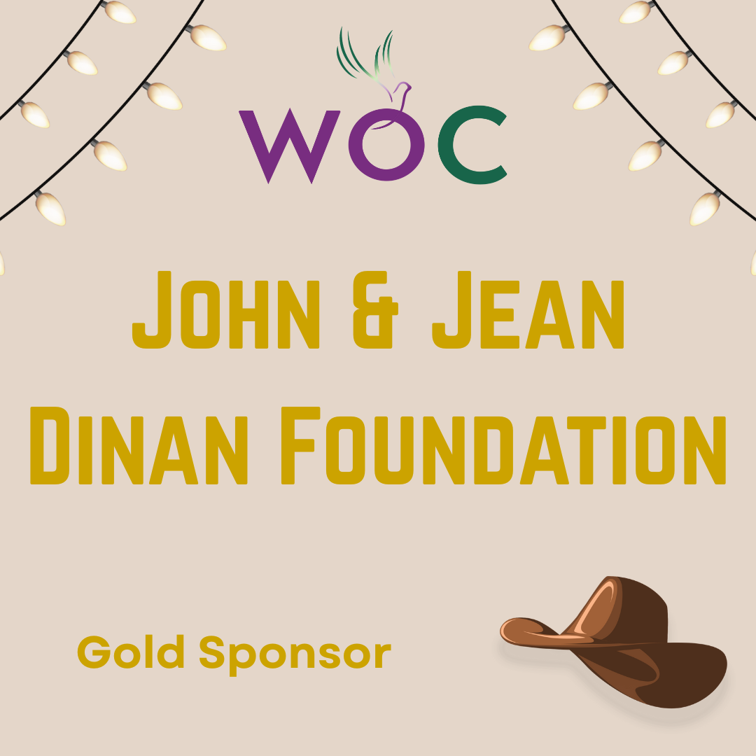 John D and Jean E Dinan Foundation