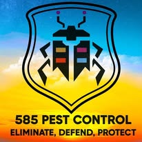 585 Pest Control