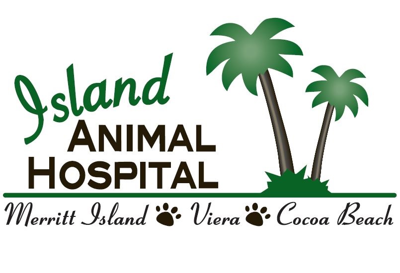 Island Animal Hospital At Viera