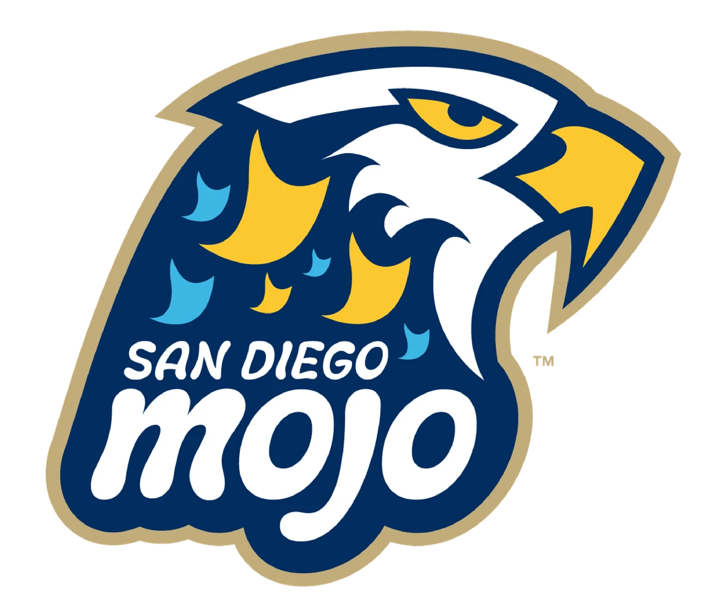 San Diego Mojo Women’s Professional Volleyball