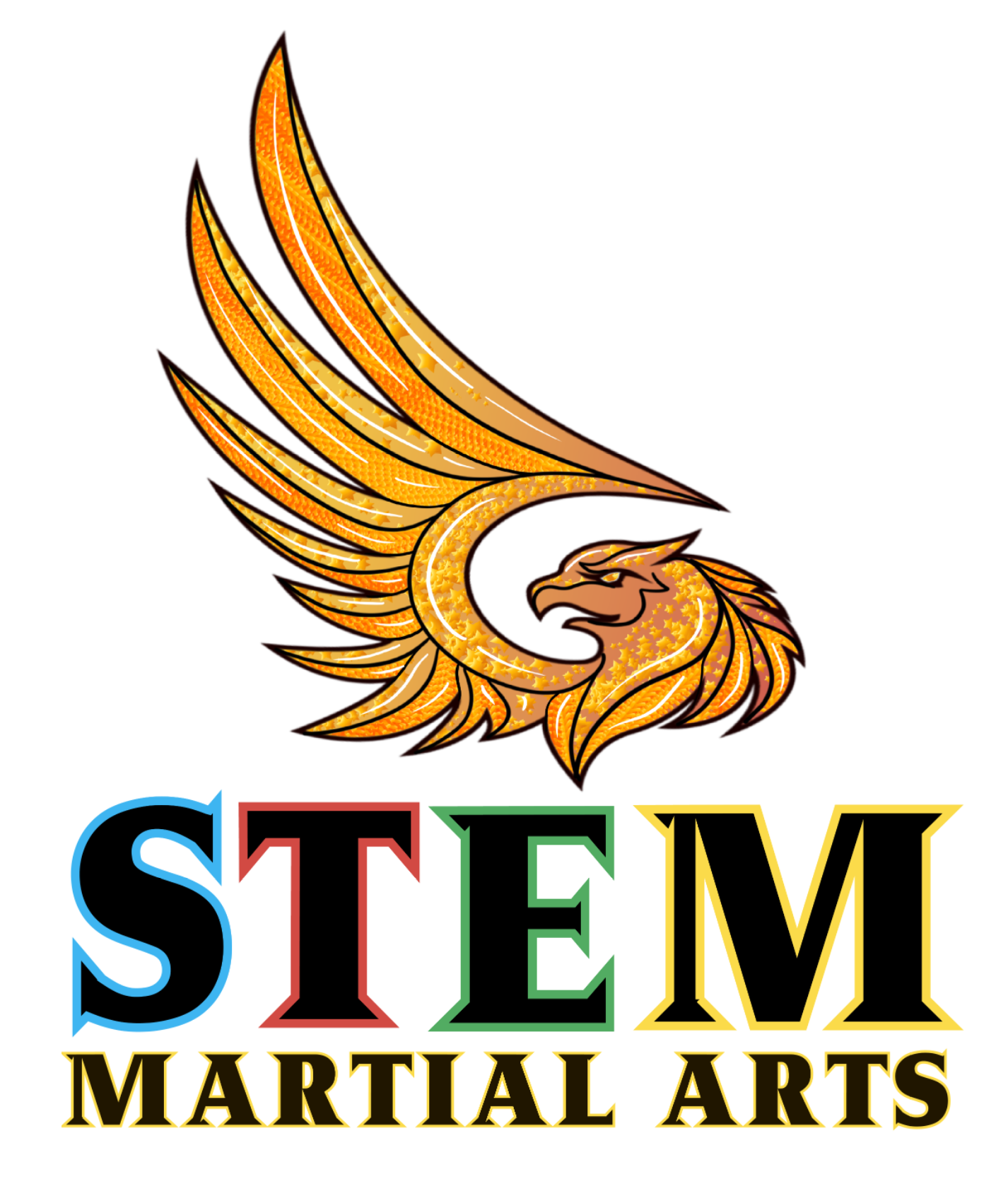 STEM Martial Arts
