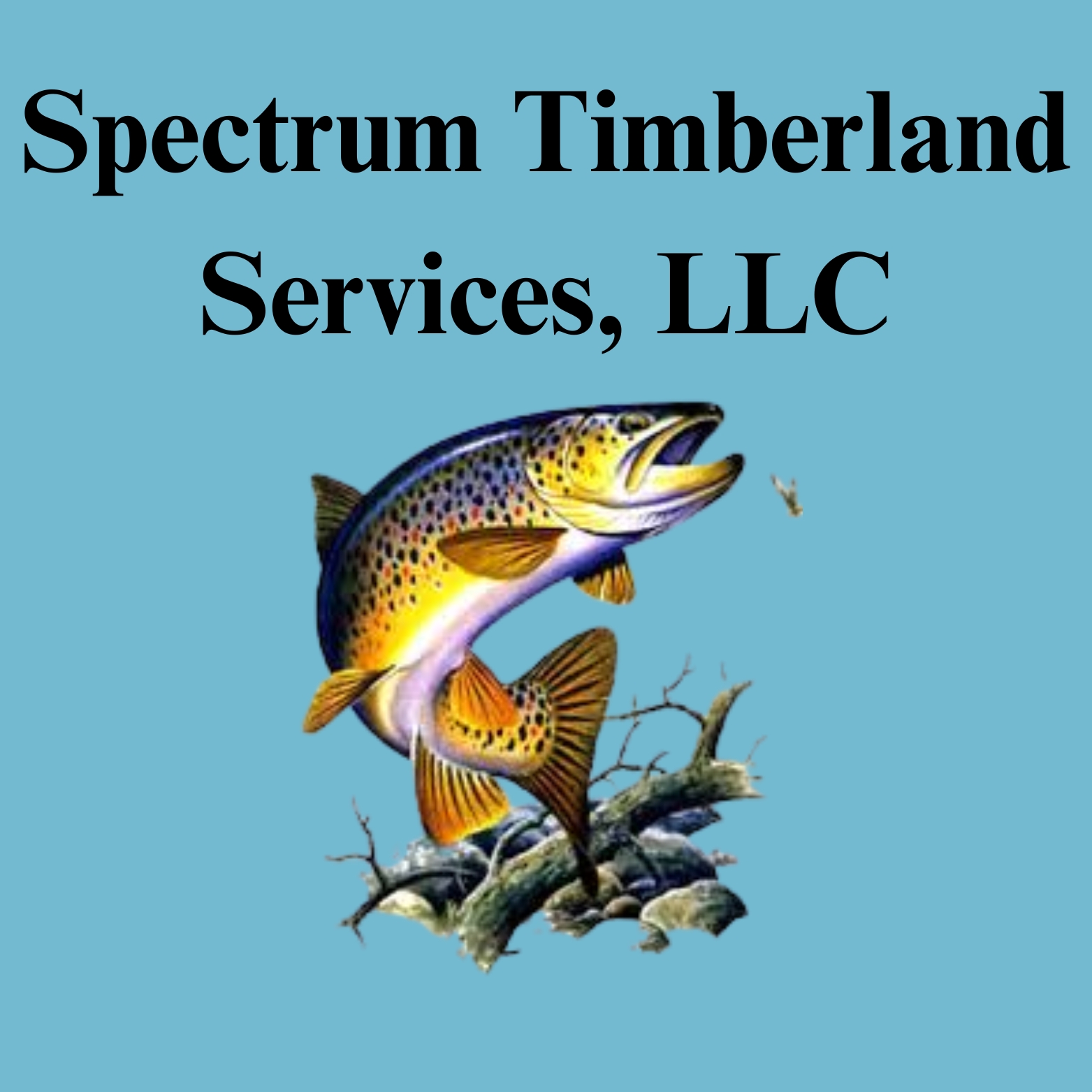 Spectrum Timberland Enterprises, LLC