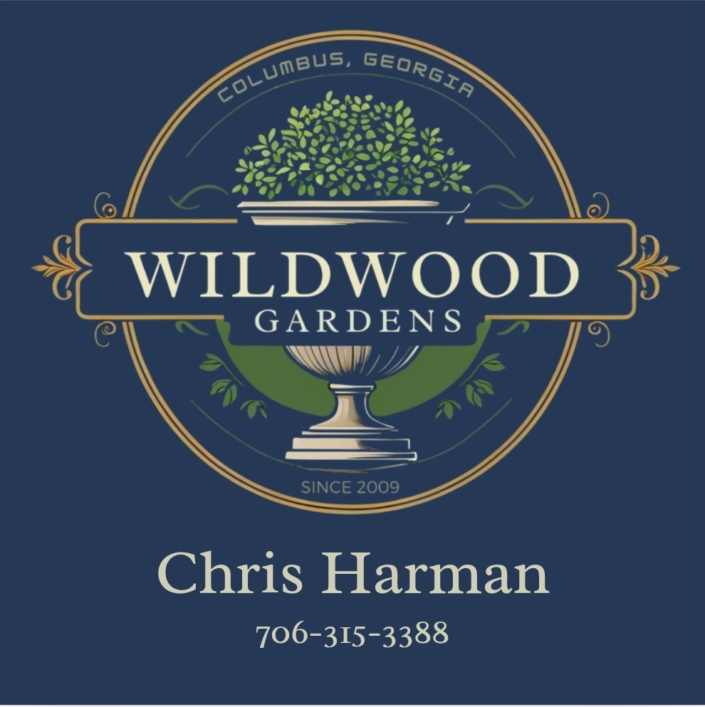 Chris Harman