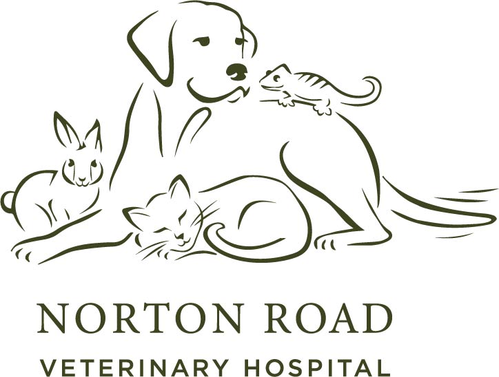 Norton Road Veterinary Hospital