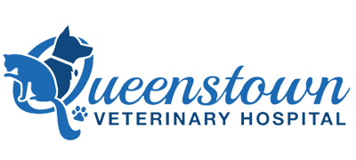 Queenstown Veterinary Hospital