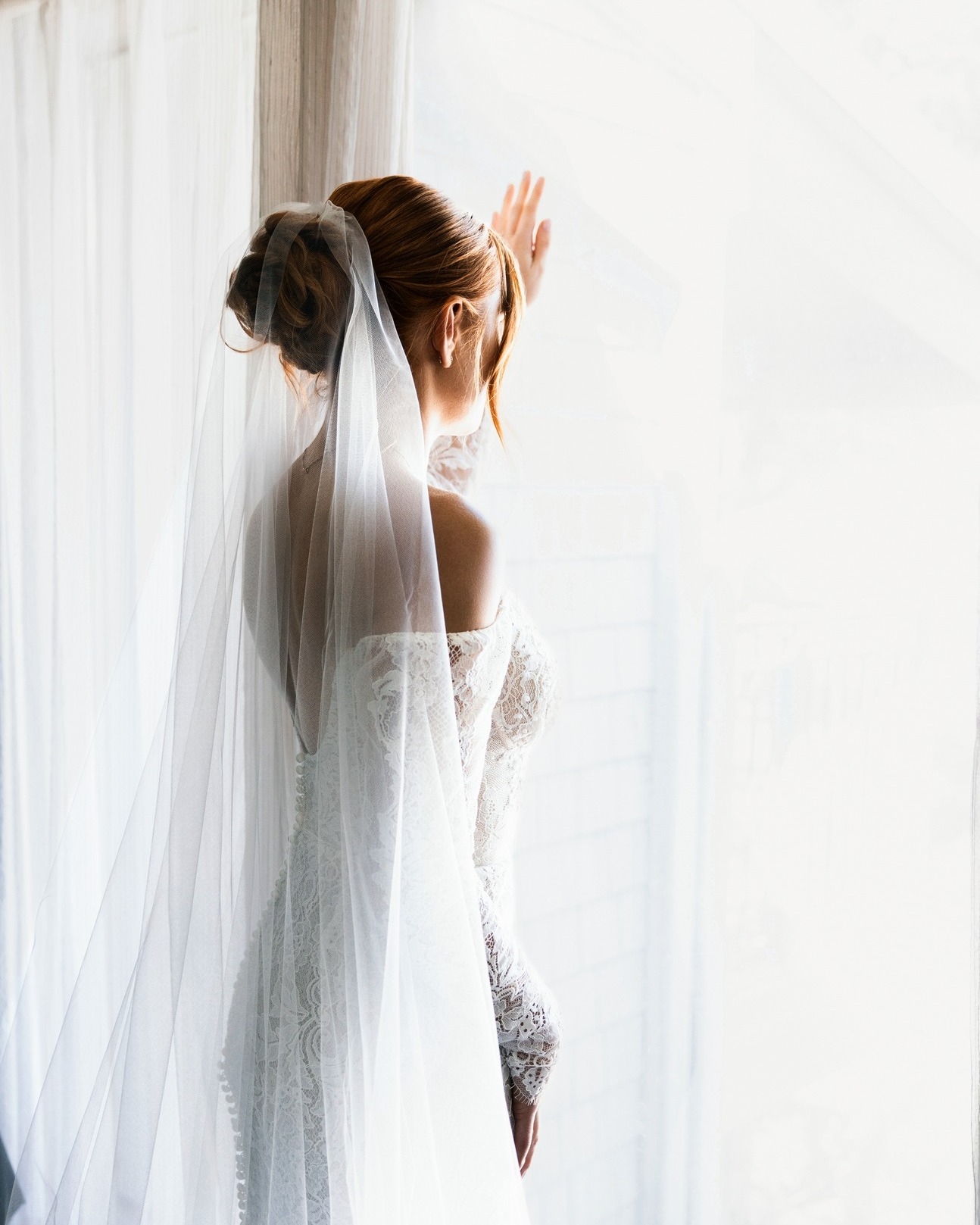 Wild Elegance