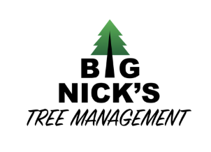 Big Nick's Tree Management
