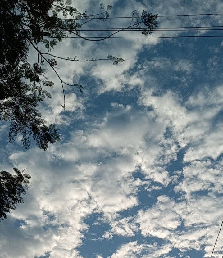 Saloni R