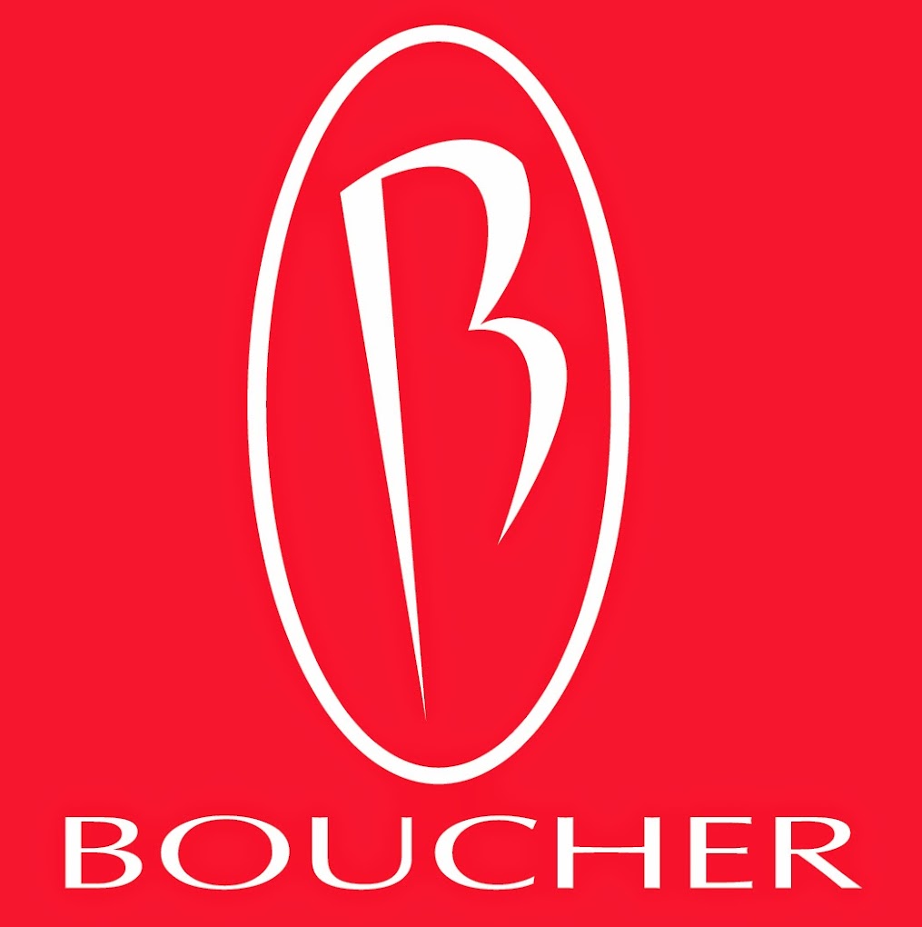Boucher Auto Group