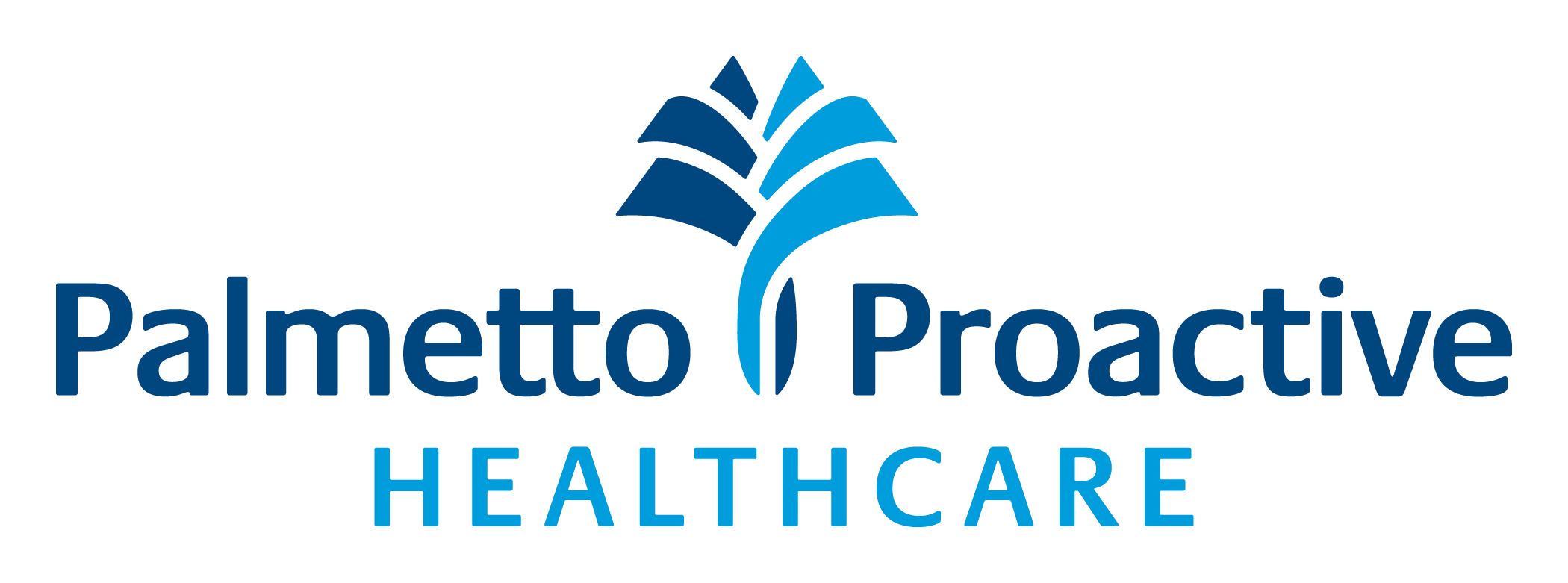 Palmetto Proactive Healthcare