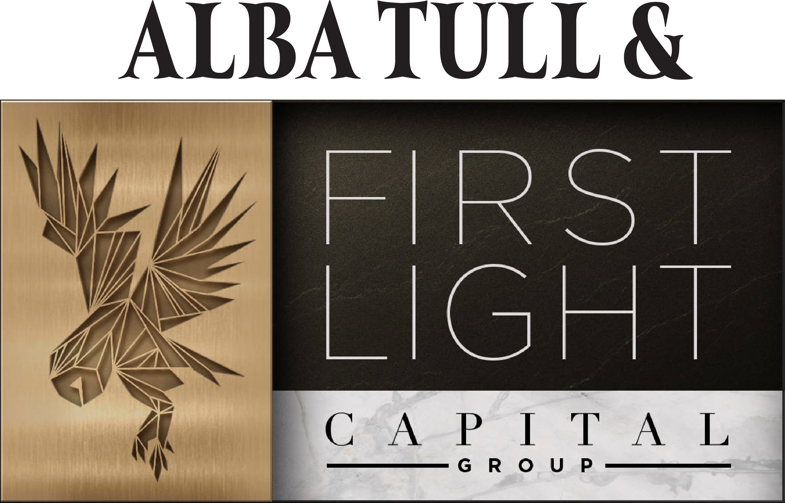 Alba Tull and First Light Capital