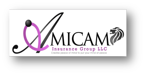 Amicam Insurance Group, LLC
