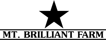 The Mt. Brilliant Family Foundation