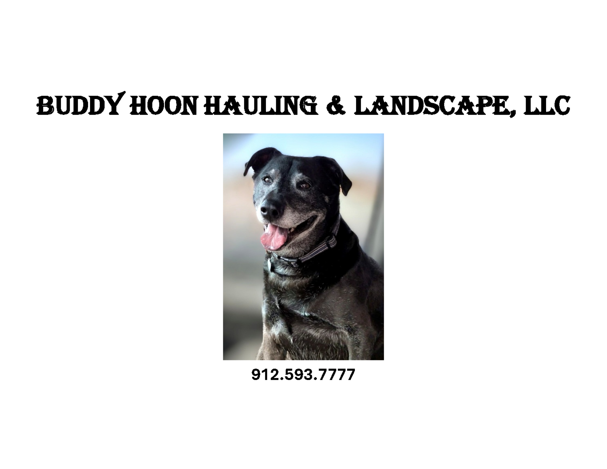 Buddy Hoon Hauling & Landscape, LLC