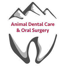 Animal Dental Care and Oral Surgery