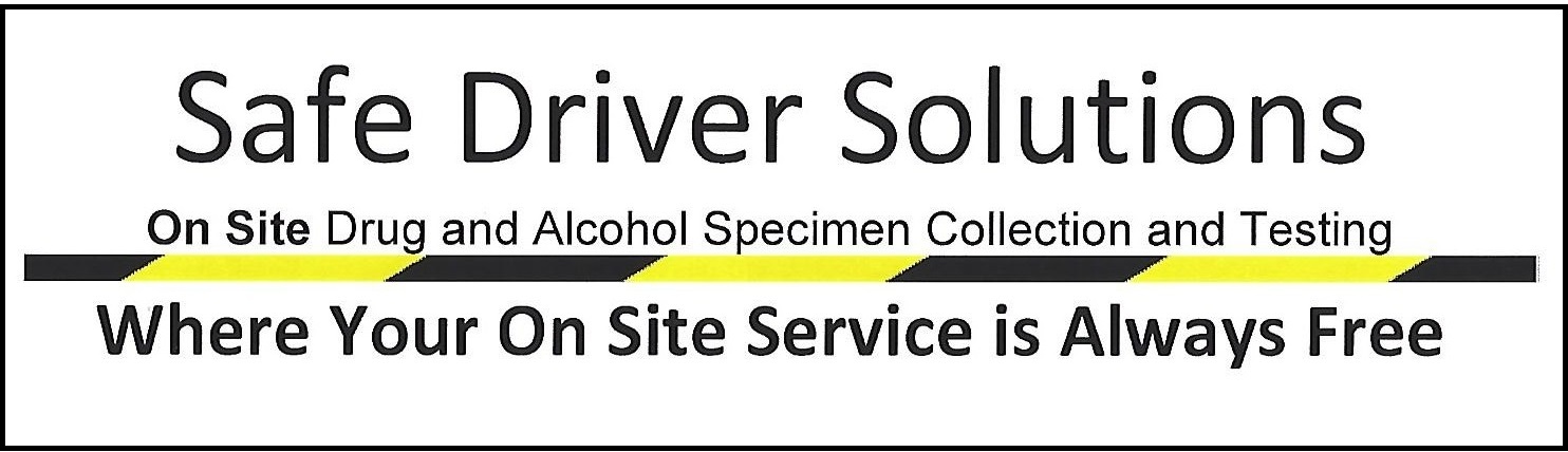 Safe Driver Solutions