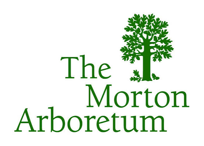Morton Arboretum