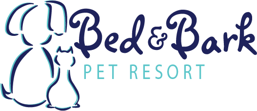 Bed & Bark Pet Resort