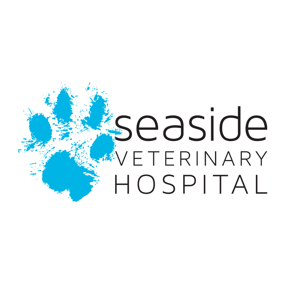 Seaside Veterinary Hospital