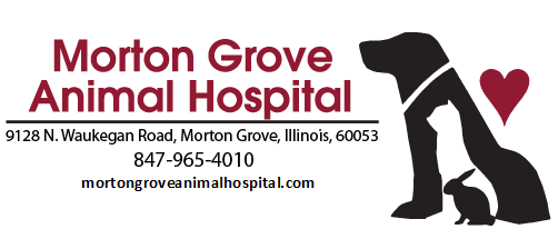 Morton Grove Animal Hospital