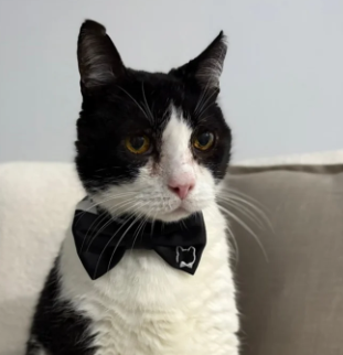 Binxties