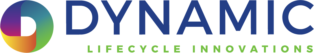 Dynamic Life Cycle Innovations