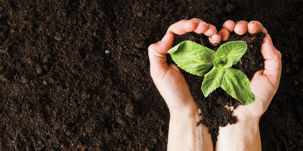 Together we can support, inspire & empower more individuals and families heal from the disease of addiction and prevent of substance use disorder image