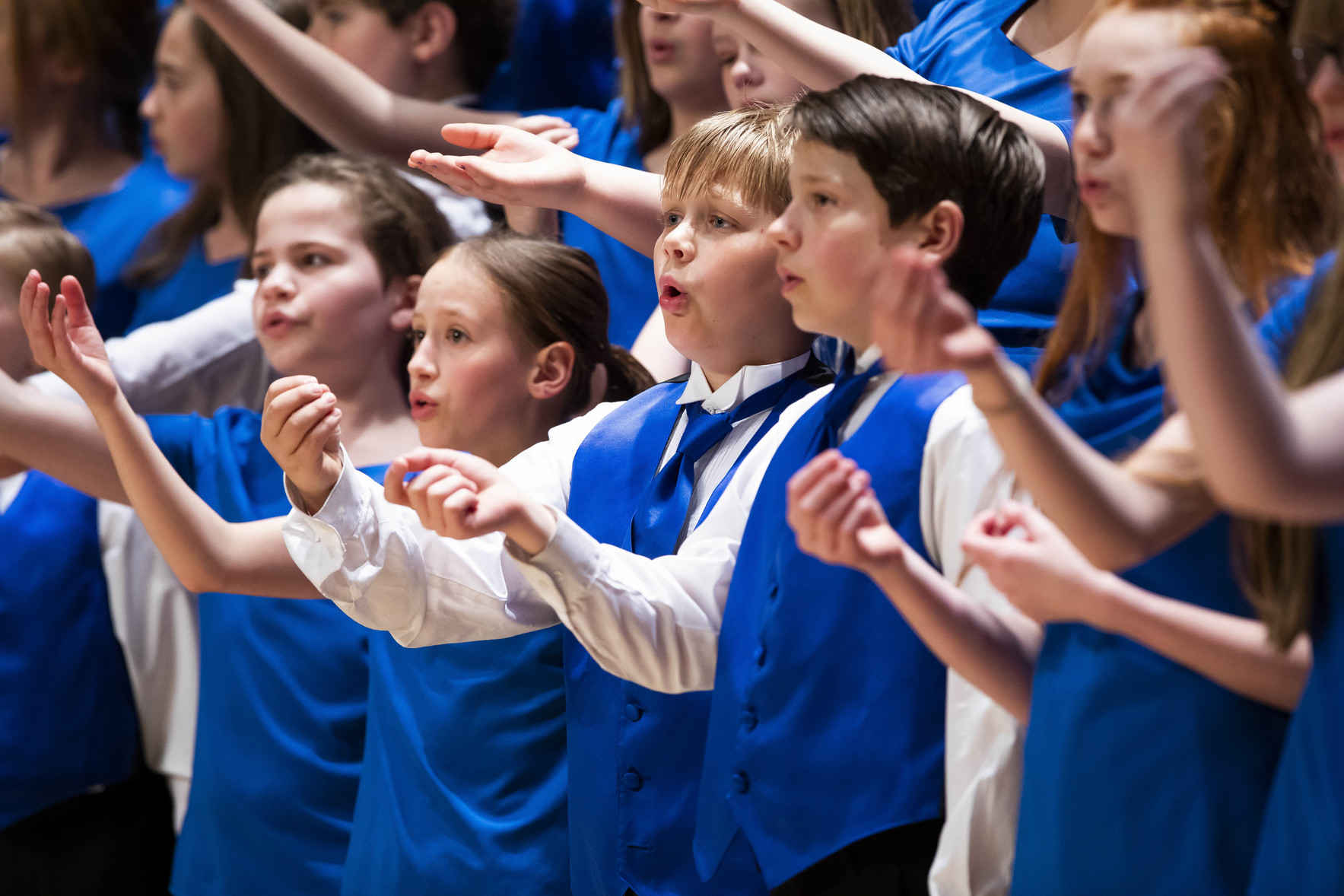 I am RAISING MY VOICE for Lake Superior Youth Chorus! :) image