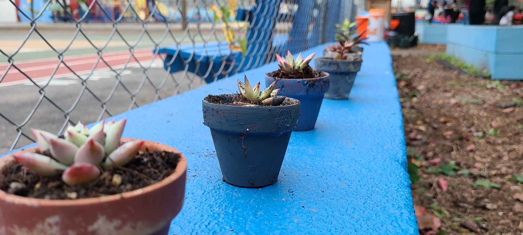 Planting New Seeds this Giving Tuesday image