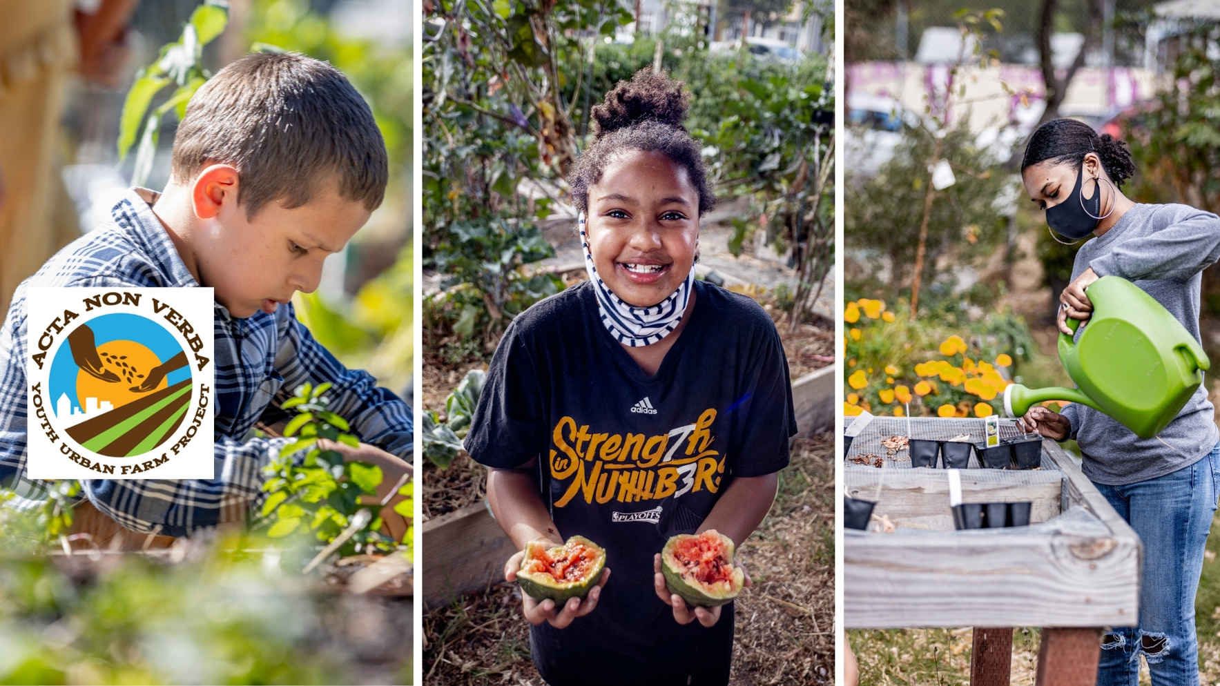 ANV offers vital services in education, access to green, safe spaces and healthy food to a community sorely lacking in these areas image