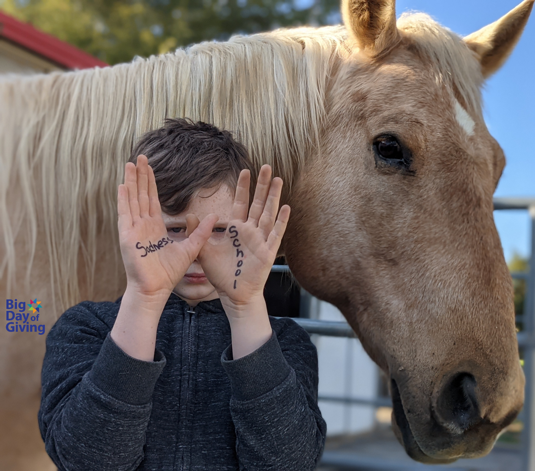 Help HLR see more individuals who cannot afford Equine-Assisted Psychotherapy image