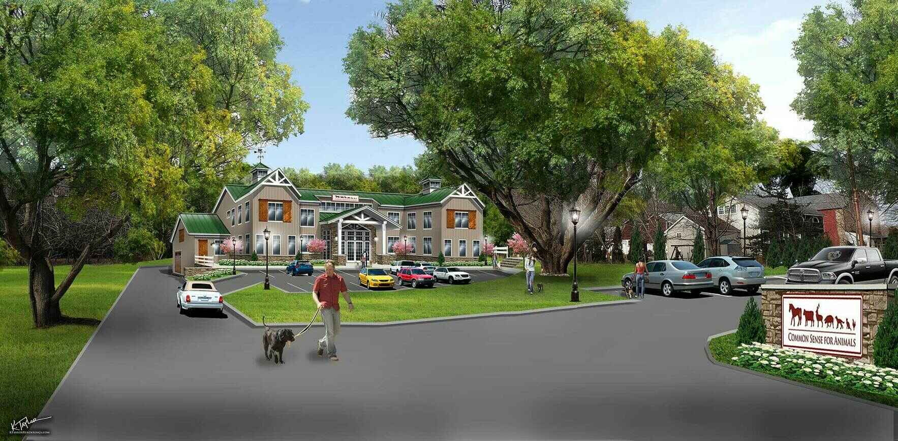 Common Sense for Animals helps to rescue and rehome over 1,200 animals a year image