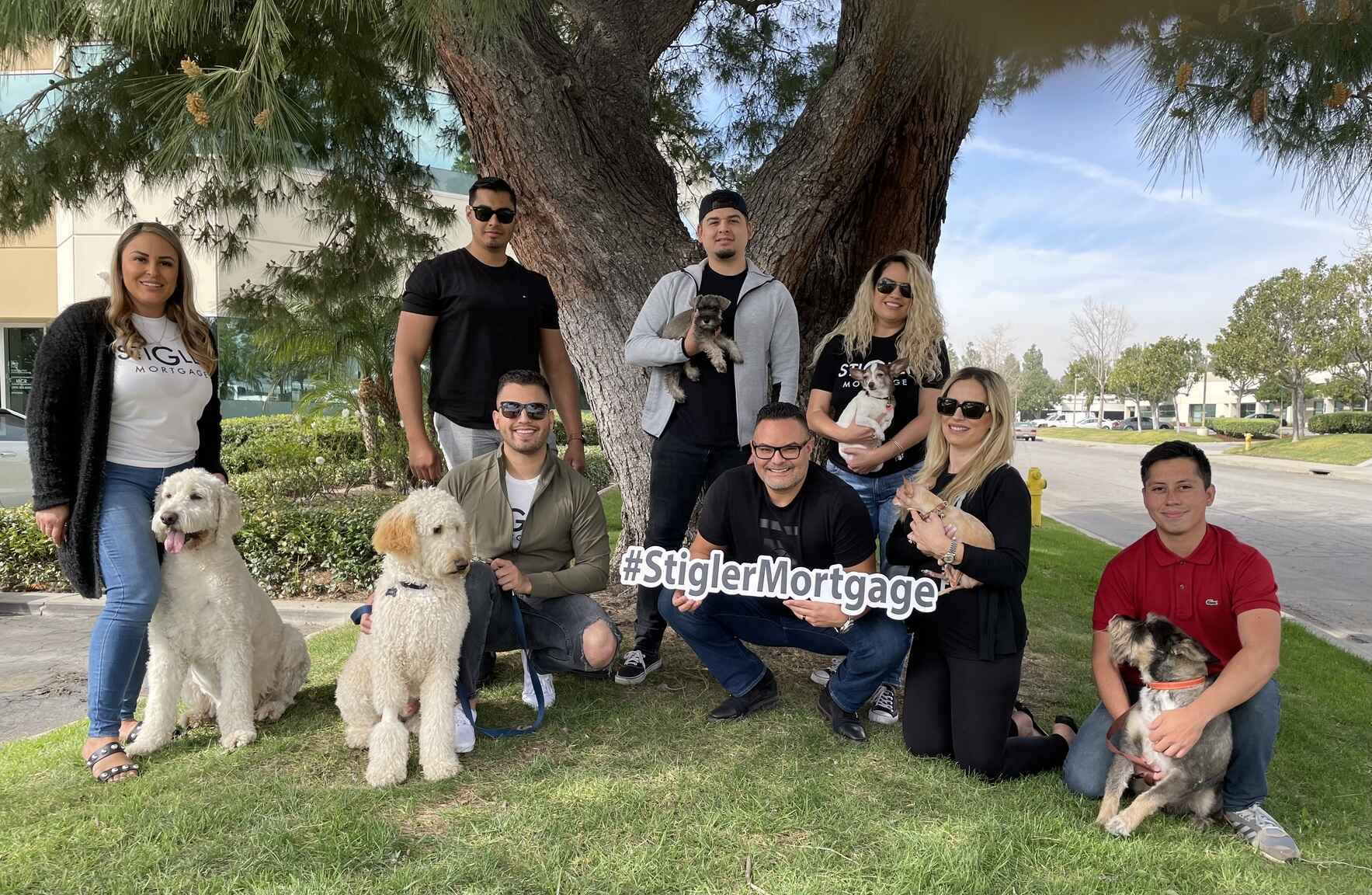 Support our walk at the HSSBV Walk for Animals! image