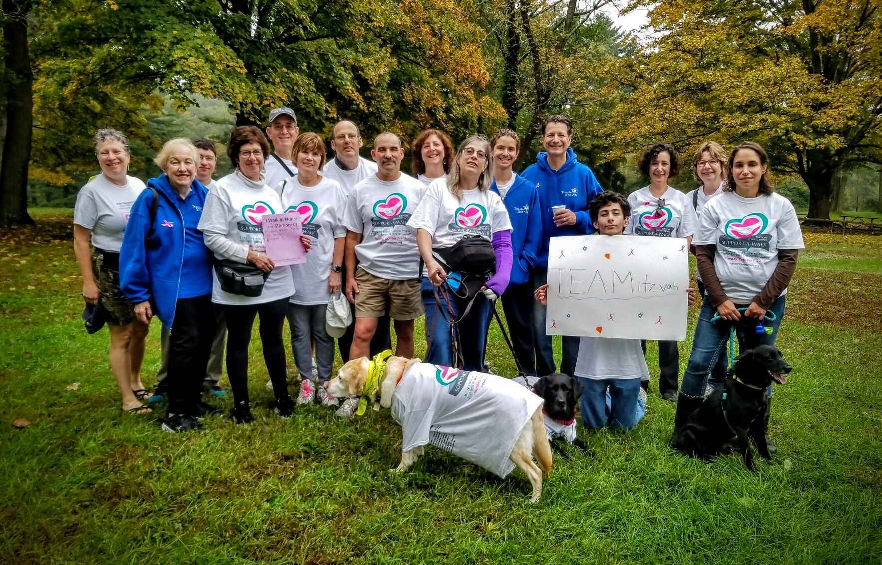 TEAMitzvah (Temple Beth Am) image