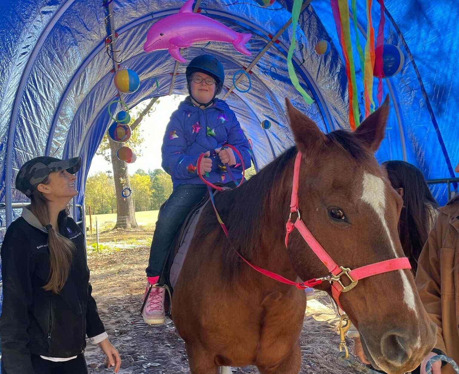 Horses. Hope. Healing. image