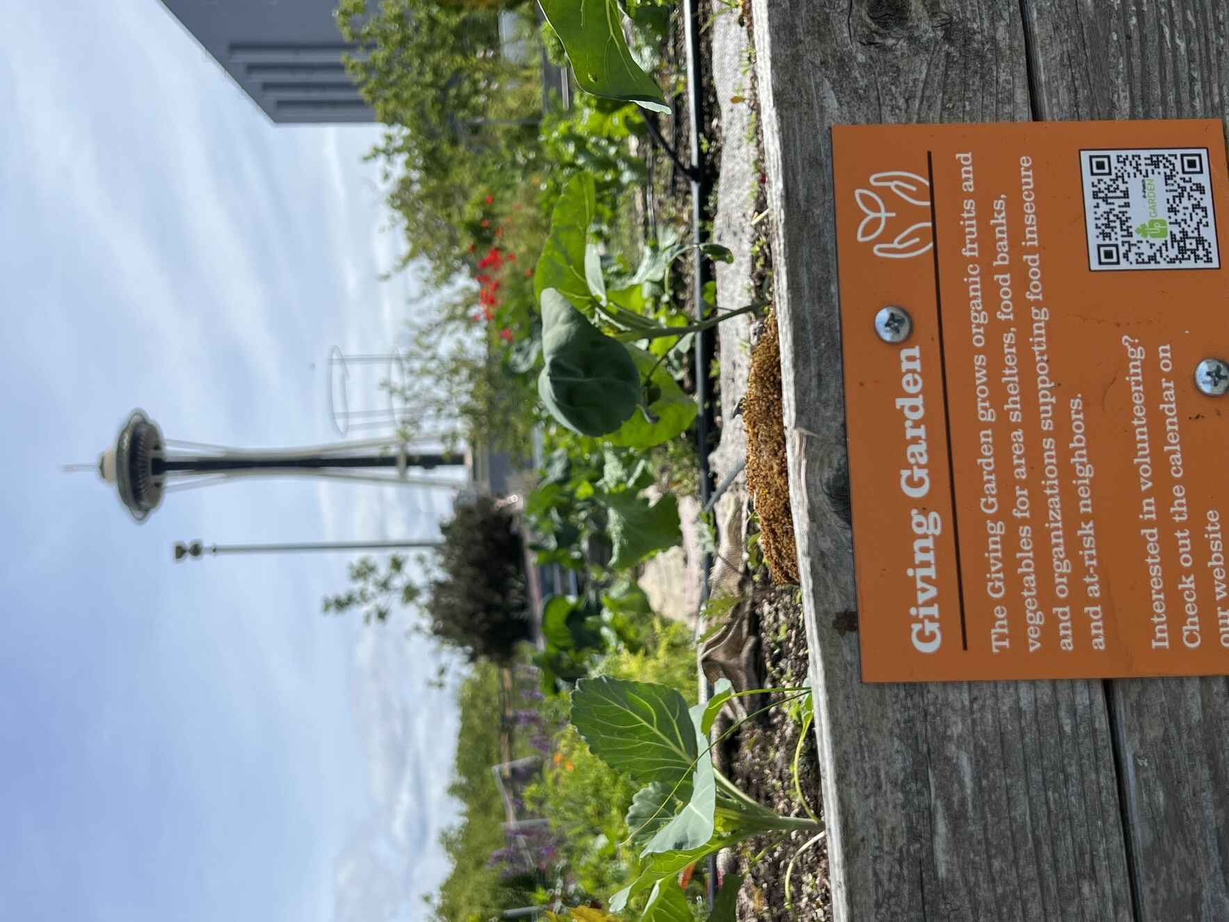 Seeds to Grow to Give... image