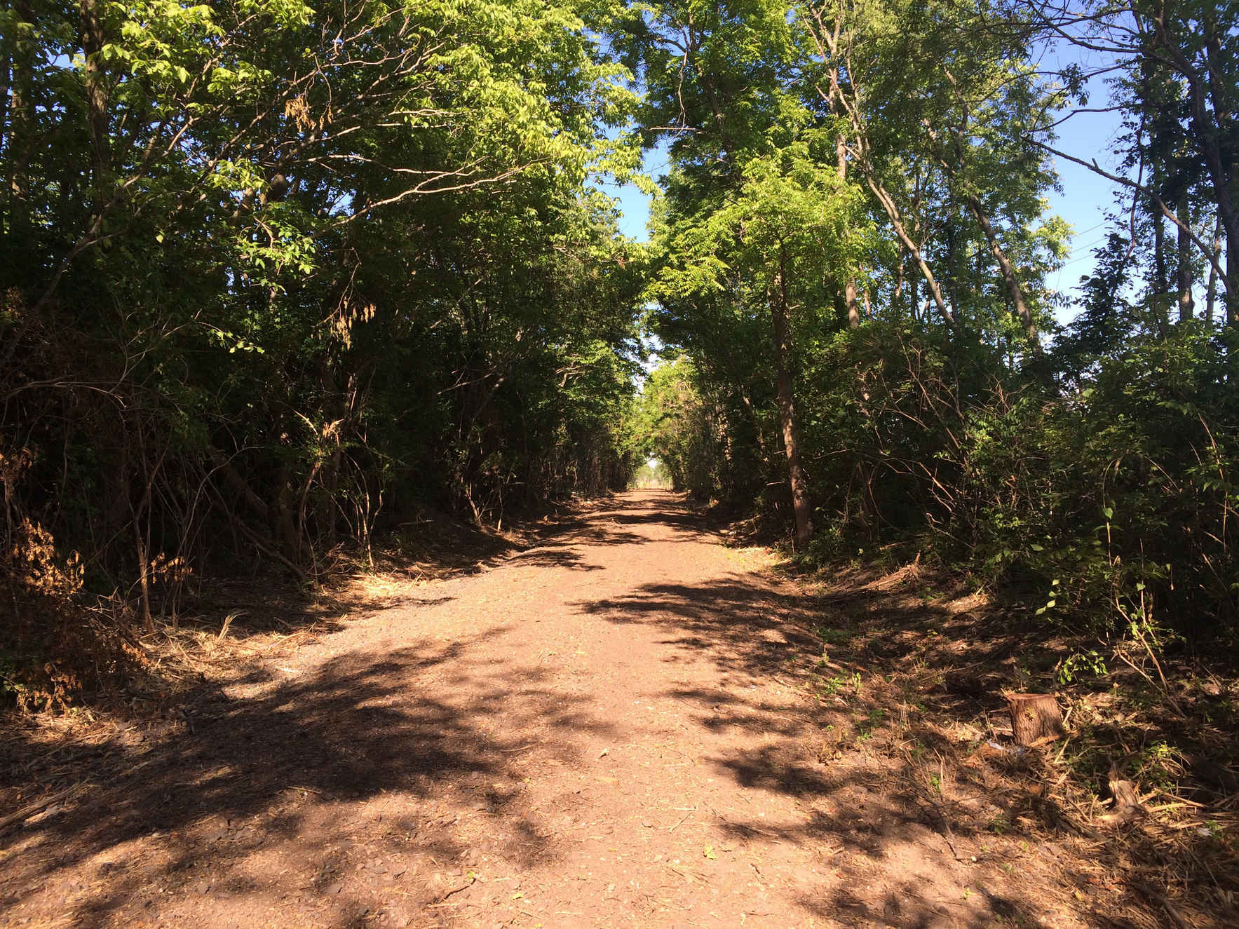 We can build the next segment of the Kickapoo Rail Trail! image