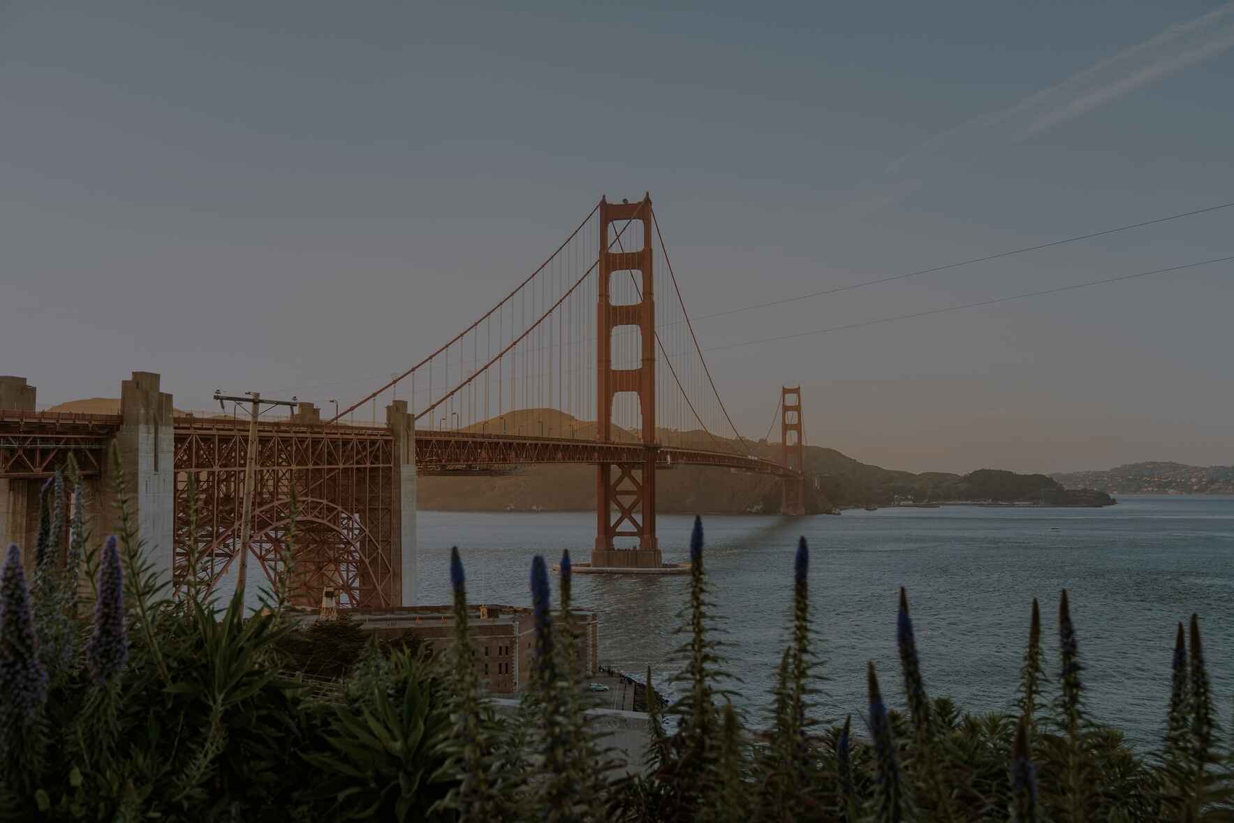  Bring Friendship to Isolated Older Adults in San Francisco image